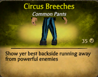 Blue_circus_breeches_-_edited.png