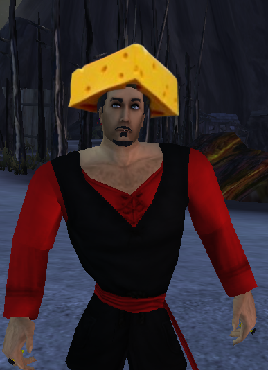 cheesehead.png