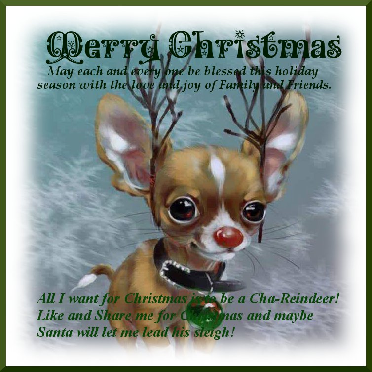 Facebook christmas card.jpg