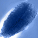 feather_blue.jpg