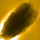 feather_gold.jpg