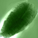 feather_green.jpg