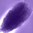 feather_purple.jpg