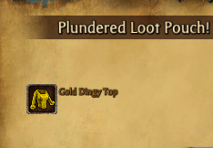 Gold Dingy Top.PNG