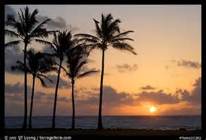 kauai sunrise.jpg