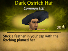 ostrichhat2.png