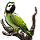 Parrot_Silver.png