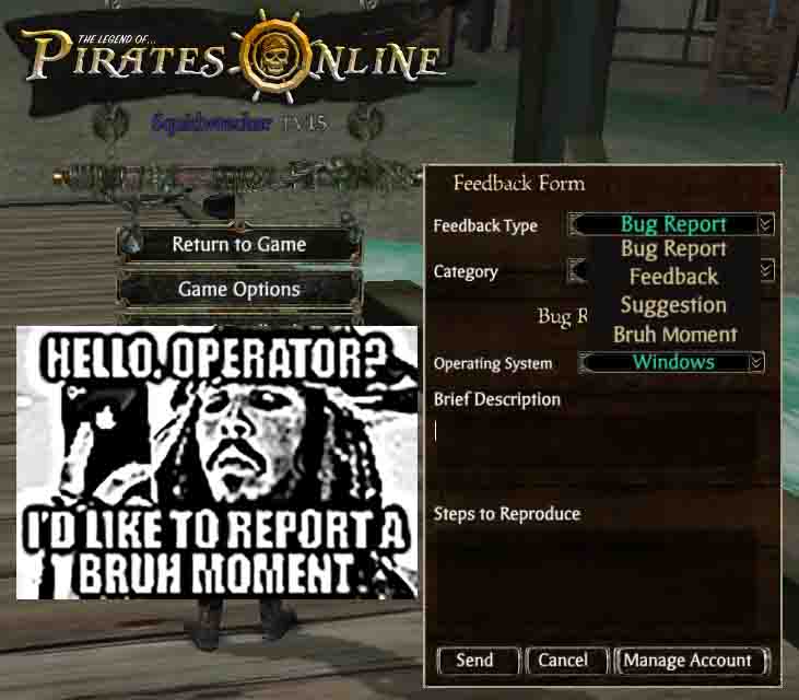 pirates of the BRUHH hh.jpg
