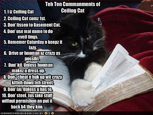 funny-pictures-ten-commandments-of-ceiling-cat.jpg
