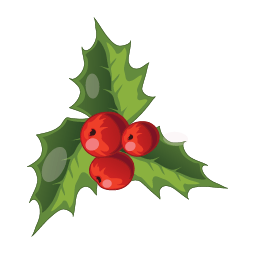 Christmas-Mistletoe-icon.png