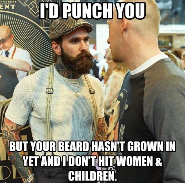 i-would-punch-you-but-your-beard-has-not-grown-in-yet-funny-beard-memes.jpg