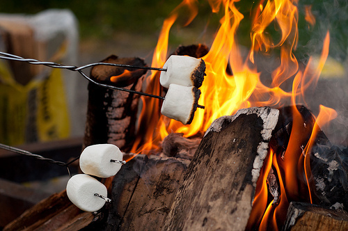 bonfire-camp-fire-marshmallow-stick-Favim.com-265912.jpg